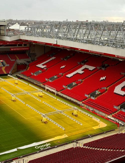 篮球勇士老将续约一年，球迷大呼：值得（勇士与老将再续一年，球迷直呼太值了）